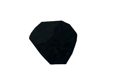 Coal