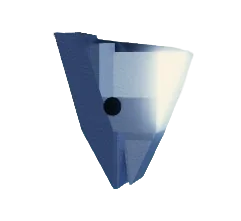 Fish Head
