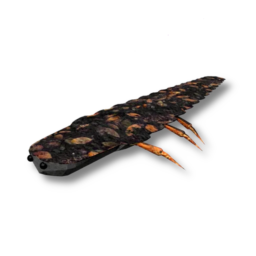 Glowworm