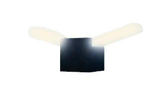 Insect