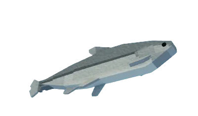 Minnow (Bait)