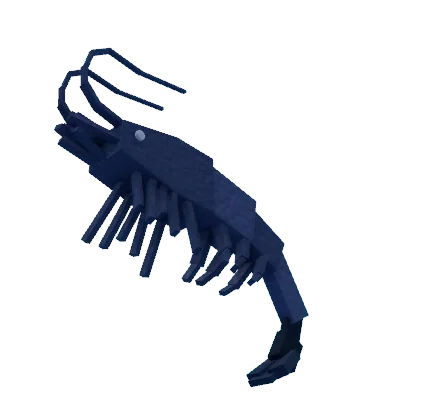 Night Shrimp (Bait)