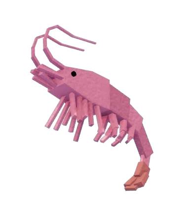 Shrimp (Bait)