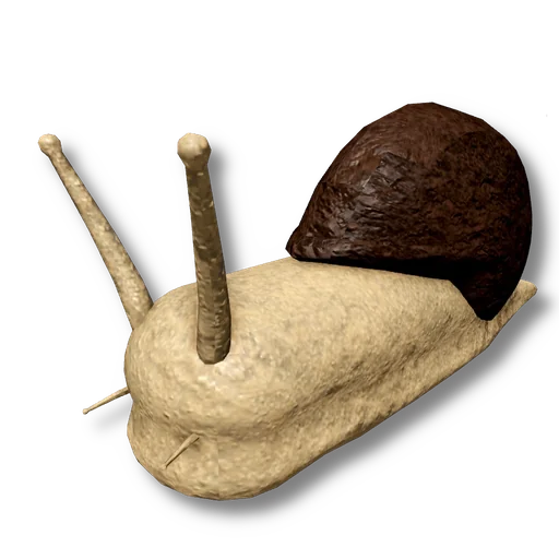 Snail