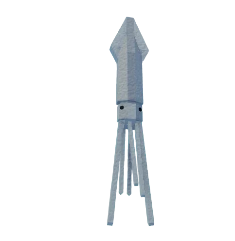 Squid (Bait)