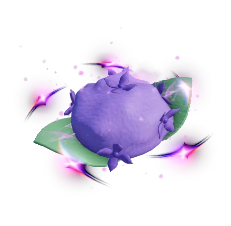Hydrangea