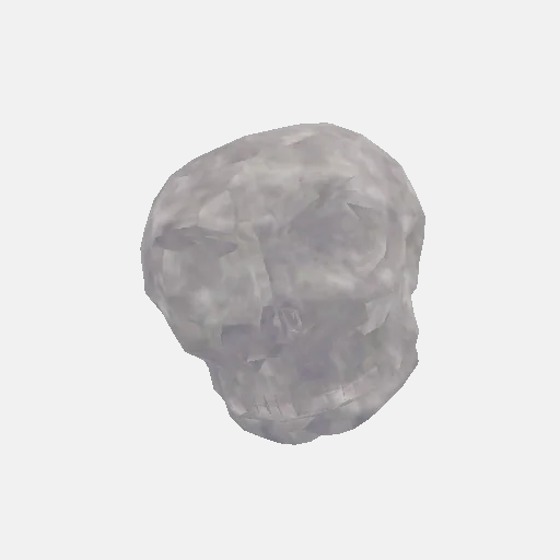 Skeleton