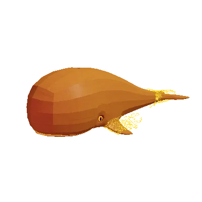 Treasure Whale