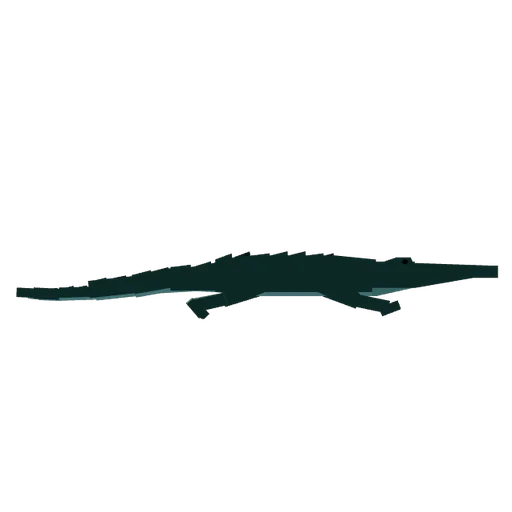 Alligator