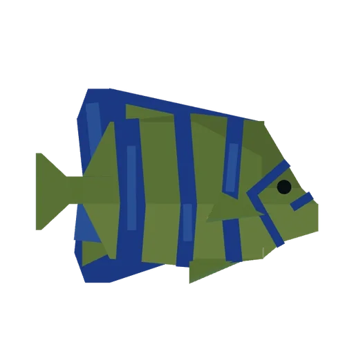 Angelfish