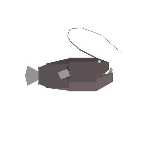 Anglerfish