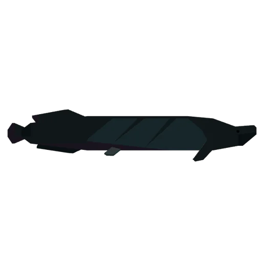 Arapaima