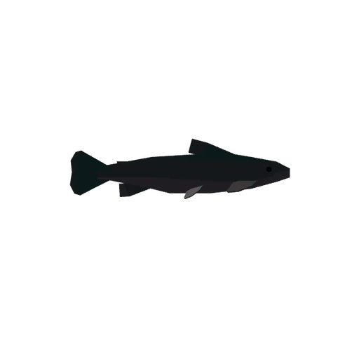 Arctic Char