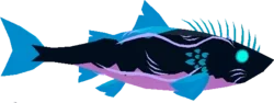 Aurora Trout