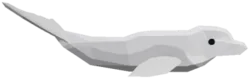 Beluga
