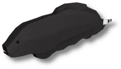 Black Ghost Knifefish
