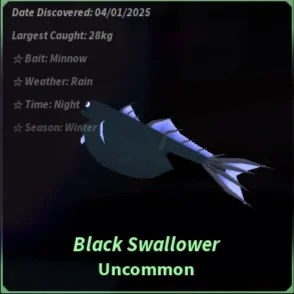 Black Swallower
