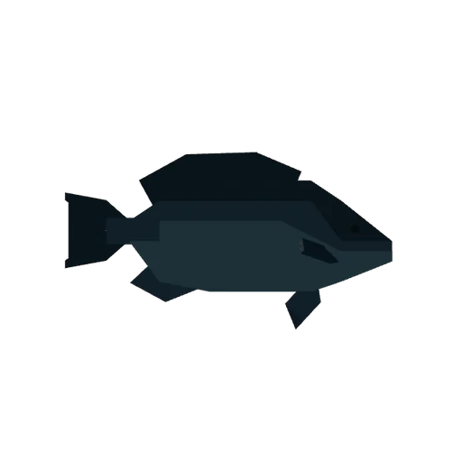 Blackfish