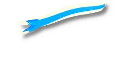 Blue Ribbon Eel