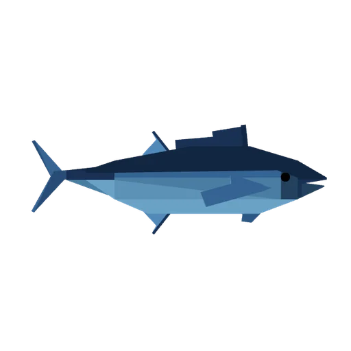 Bluefin Tuna