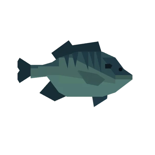 Bluegill