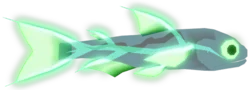 Bone Lanternfish