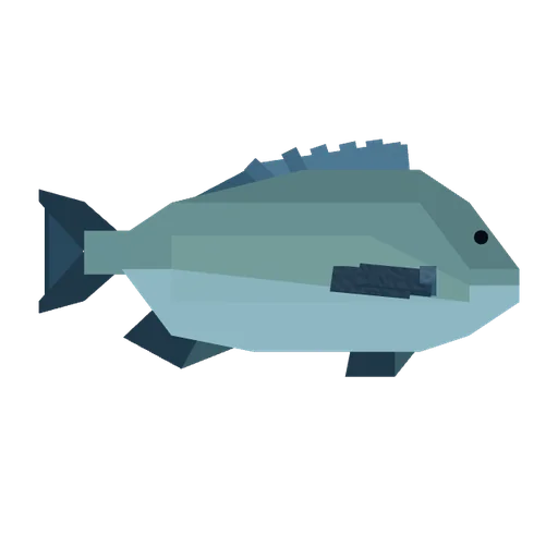 Bream
