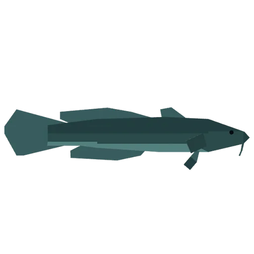 Burbot