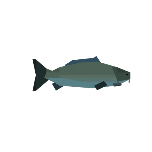 Carp