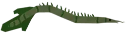 Carrot Eel