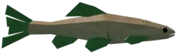 Carrot Minnow