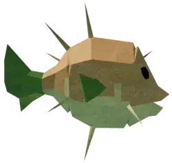 Carrot Pufferfish