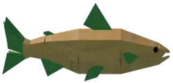 Carrot Salmon