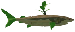 Carrot Shark