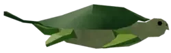 Carrot Turtle