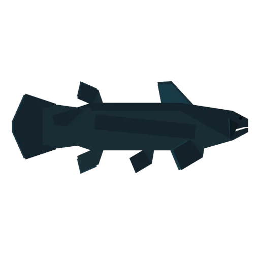 Coelacanth