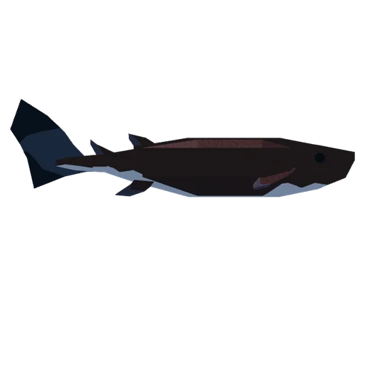 Cookiecutter Shark