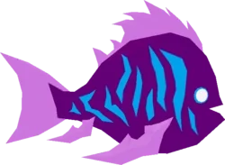Coral Chromis