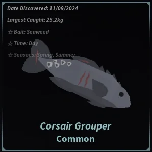 Corsair Grouper