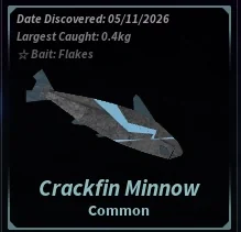Crackfin Minnow
