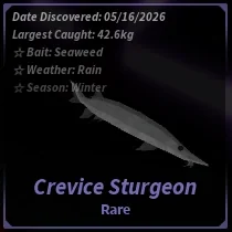 Crevice Sturgeon