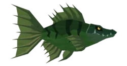Crocokoi