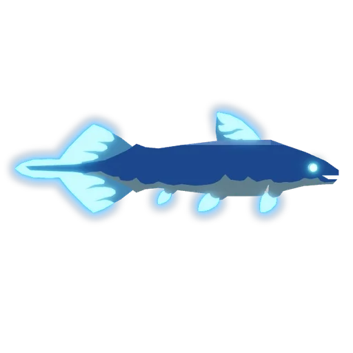 Diplurus