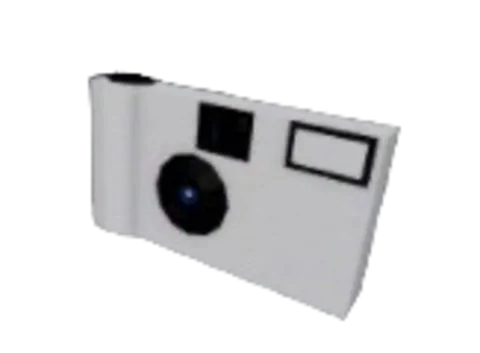 Disposable Camera