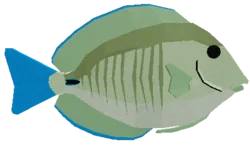 Doctorfish Tang