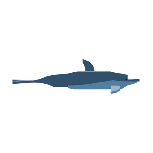 Dolphin