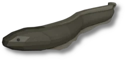 Electric Eel
