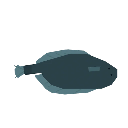 Flounder