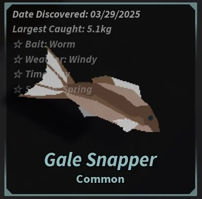 Gale Snapper