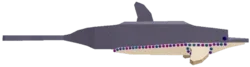 Gem Dolphin